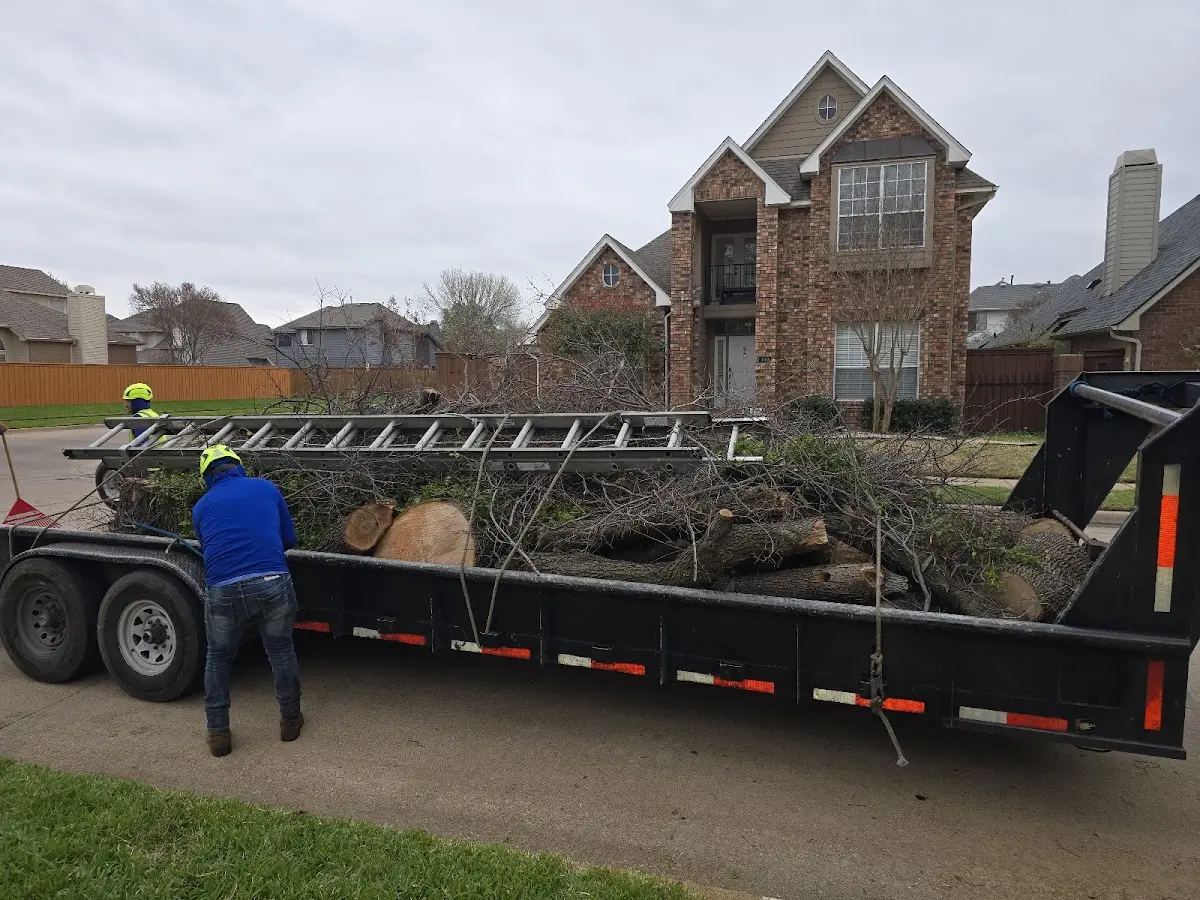 Expert Tree Pest Control with proper safety equipment in Bakersfield